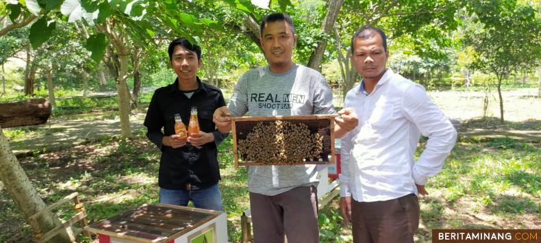 Zoraldi bersama Kakak Pembina Ozi dan Anggota Kelompok Peternak Lebah Madu Pramuka Sawahlunto bangga menggeluti usaha baru mereka, sebagai sarjana mereka harus menginspirasi tumbuhnya jiwa enterpreneur dikalangan kaula muda. Foto: Iyos