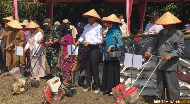 Siapkan Lahan  1000 Ha, Bupati Safaruddin Gelar Tanam Jagung Bersama