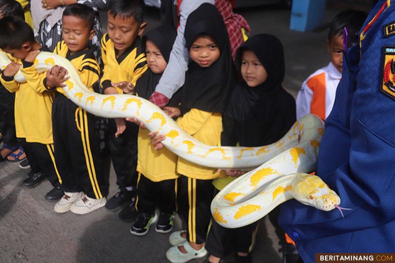 Anggota Damkar Tanah Datar berikan edukasi tentang alat-alat pemadam kebakaran dan satwa kepada murid Taman Kanak-Kanak di Batusangkar, Sumbar, Kamis (31/10/2024). (Beritaminang/AP)