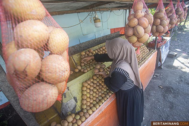 Pedagang berjualan buah sao di Nagari Sumpur, Kabupaten Tanah Datar, Sumbar, Kamis (24/10/2024). Sentral Sawo di Nagari Sumpur merupakan Pilot Project OJK dan BRI implementasi generic model Ekosistem Keuangan Inklusif (EKI) untuk mengembangkan desa dan meningkatkan kesejahteraan masyarakat serta memberi edukasi kepada masyarakat untuk bisa memilih dan memanfaatkan produk dan layanan jasa keuangan yang sesuai kebutuhan. (Beritaminang/Adi Prima)