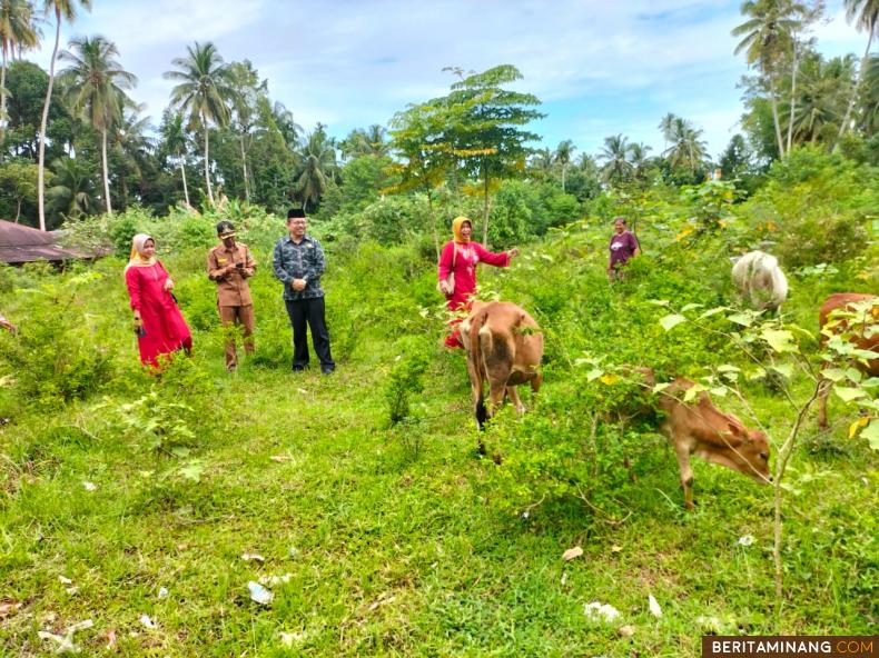 https://www.beritaminang.com/photos/foto/foto-jj-dt-gadang-melihat-peternakan-sapi-di-nagari_foto1_280622074559.jpeg