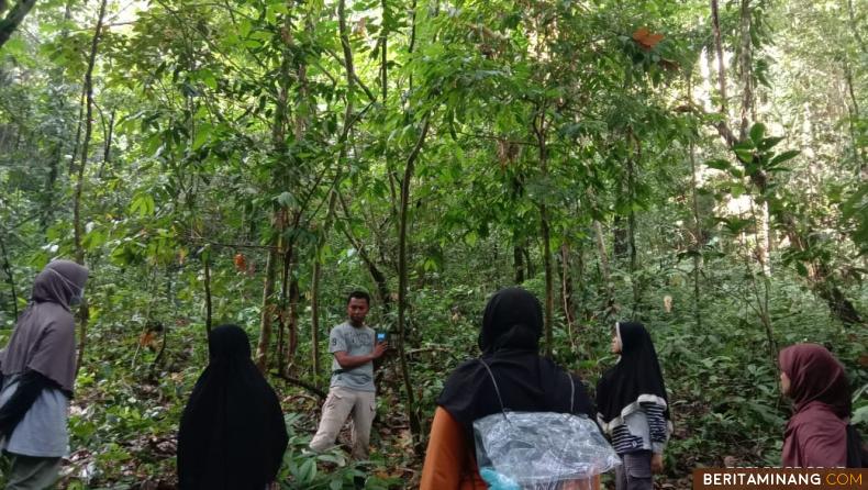 Anggota BKSDA Agam mengenalkan cara penggunaan camera trap kepada sejumlah mahasiswi jurusan biologi FMIPA UNP di Kawasan Cagar Alam Maninjau, Agam, Sumbar, Jumat (05/02/2021). Selain penggunaan camera trap mahasiswi magang juga diberikan materi monitoring satwa kunci, monitoring satwa mangsa, navigasi darat dan manajemen perjalanan. Selama tiga hari di kawasan Cagar Alam Maninjau peserta magang diharapkan dapat mengetahui cara kerja dalam monitoring satwa liar, pemetaan dan perencanaan dalam kegiatan monitoring. (Beritaminang/Foto BKSDA Agam/AP).