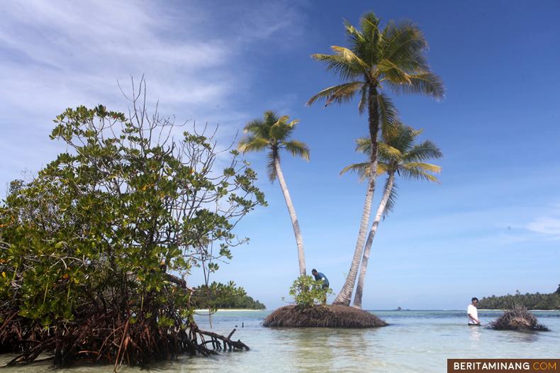 Wisatawan luar negeri berada di Pulau Putoutougat, Sipora, Kabupaten Kepulauan Mentawai, Sumatera Barat, Rabu (8/2/2023). Jernihnya air laut di Pulau Putoutougat merupakan salah satu daya tarik wisata bagi wisatawan lokal dan mancanegara untuk mendatangi Kepulauan Mentawai. (Beritaminang/Adi Prima).